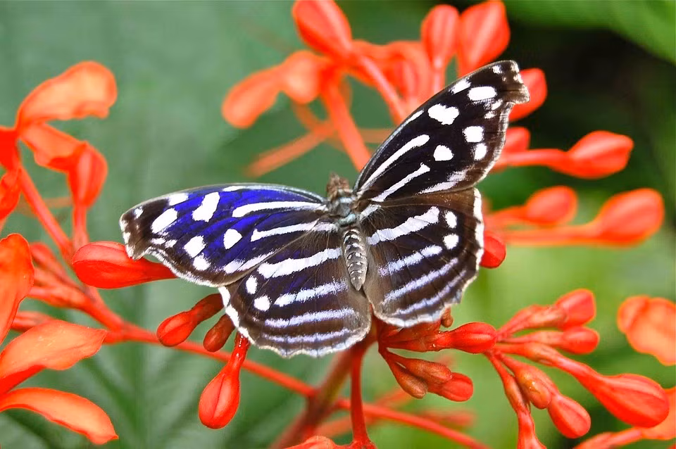 Sinh ngày Âm lịch này cả đời vất vả nhưng con cháu thành danh - Hình 2 Sinh ngay Am lich nay ca doi vat va nhung con chau thanh danh-Hinh-2