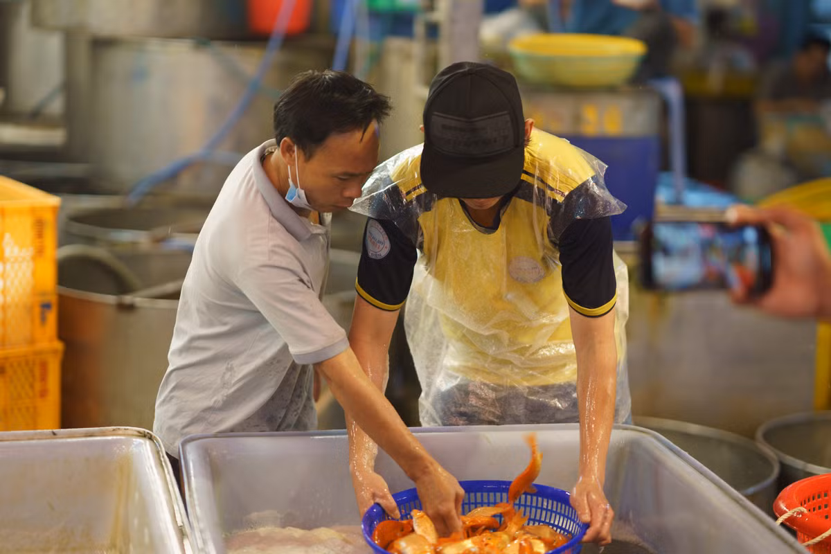 Anh Hùng (bên trái), một tiểu thương ở chợ Tân Lập (TP.Thủ Đức) cho biết, mỗi năm đều đến đây sớm hơn một ngày để nhập hàng về bán. "Hôm nay nhập trước 10kg bao gồm cá chép to và nhỏ. Nếu tín hiệu kinh doanh tốt, tôi sẽ nhập thêm vào ngày mai", anh Hùng nói.