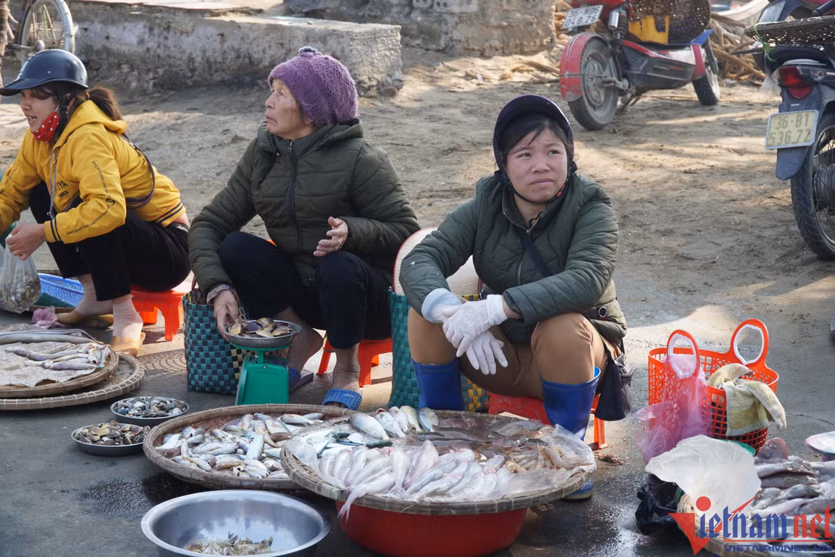 Cá khoai hơn nửa triệu đồng một kg, người dân tranh nhau mua - Hình 3 Ca khoai hon nua trieu dong mot kg, nguoi dan tranh nhau mua-Hinh-3