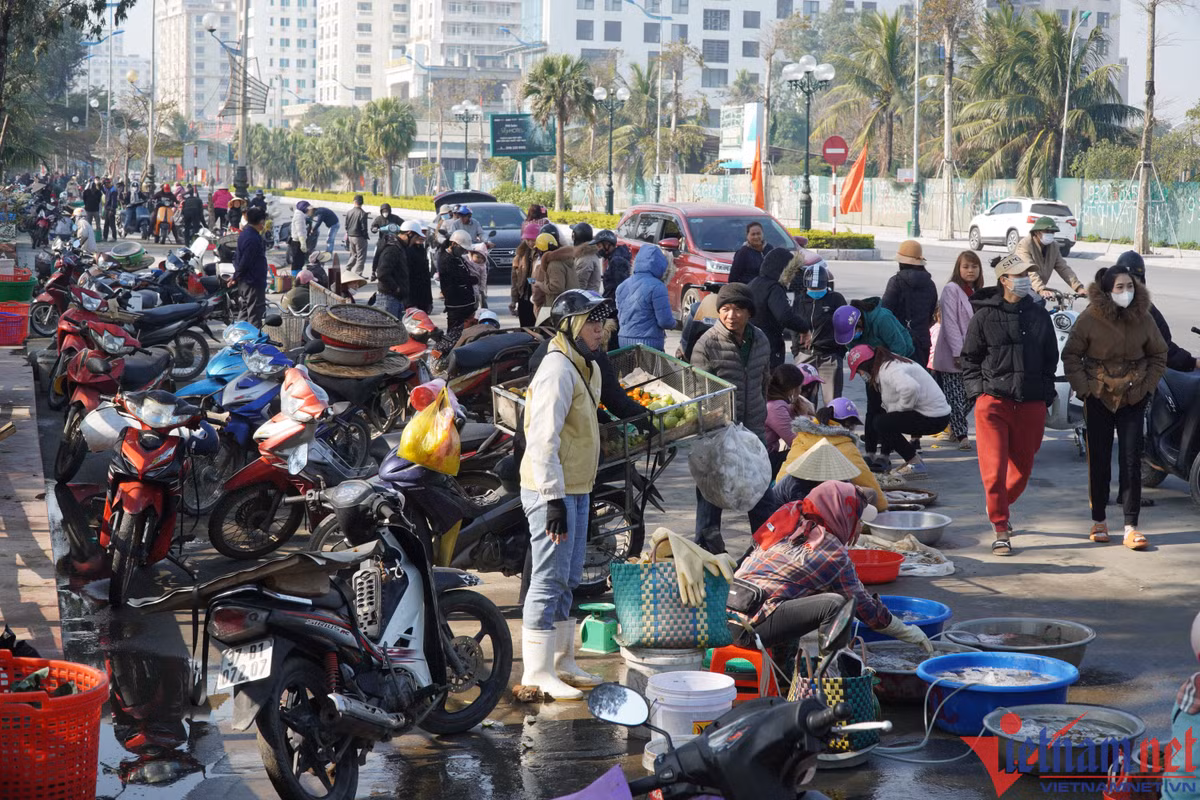 Cá khoai hơn nửa triệu đồng một kg, người dân tranh nhau mua - Hình 6 Ca khoai hon nua trieu dong mot kg, nguoi dan tranh nhau mua-Hinh-6