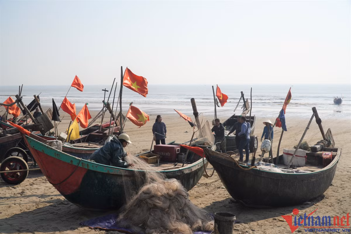 Cá khoai hơn nửa triệu đồng một kg, người dân tranh nhau mua Ca khoai hon nua trieu dong mot kg, nguoi dan tranh nhau mua