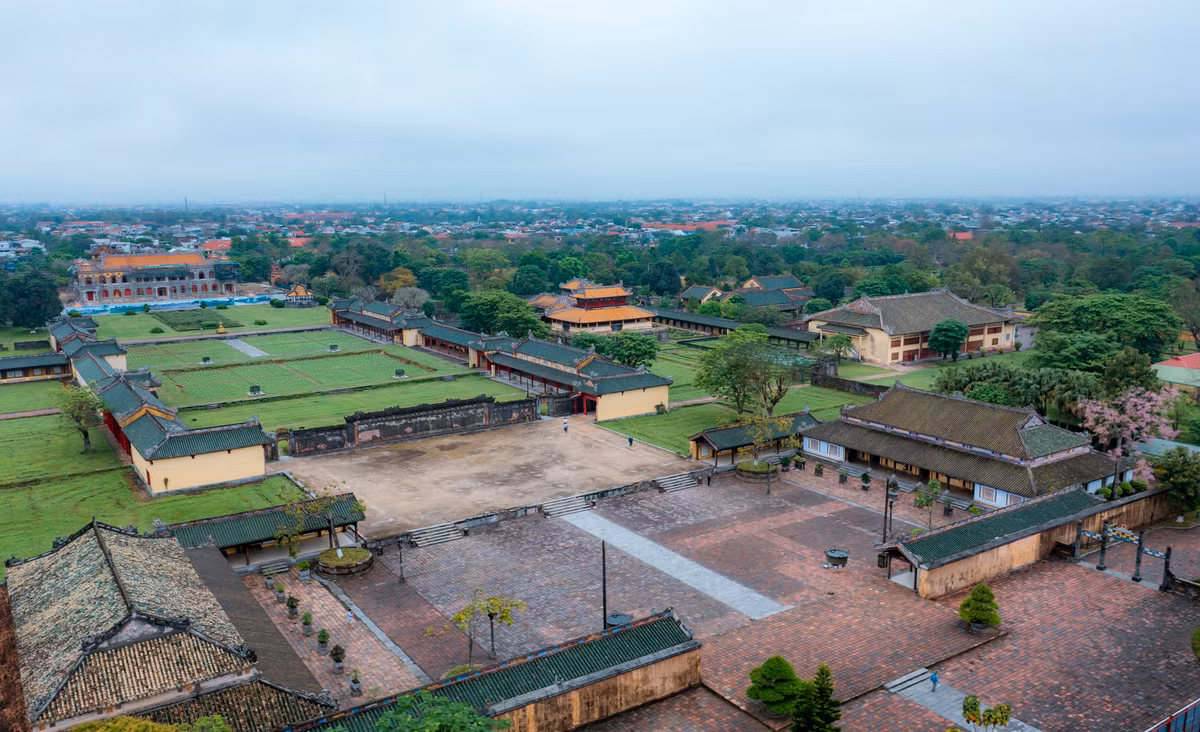 Những ngày cuối tháng 3, đầu tháng 4, khi những cơn nắng nóng đầu mùa hạ bắt đầu xuất hiện cũng là lúc những cây ngô đồng trong Hoàng cung Huế bắt đầu thi nhau khoe sắc.