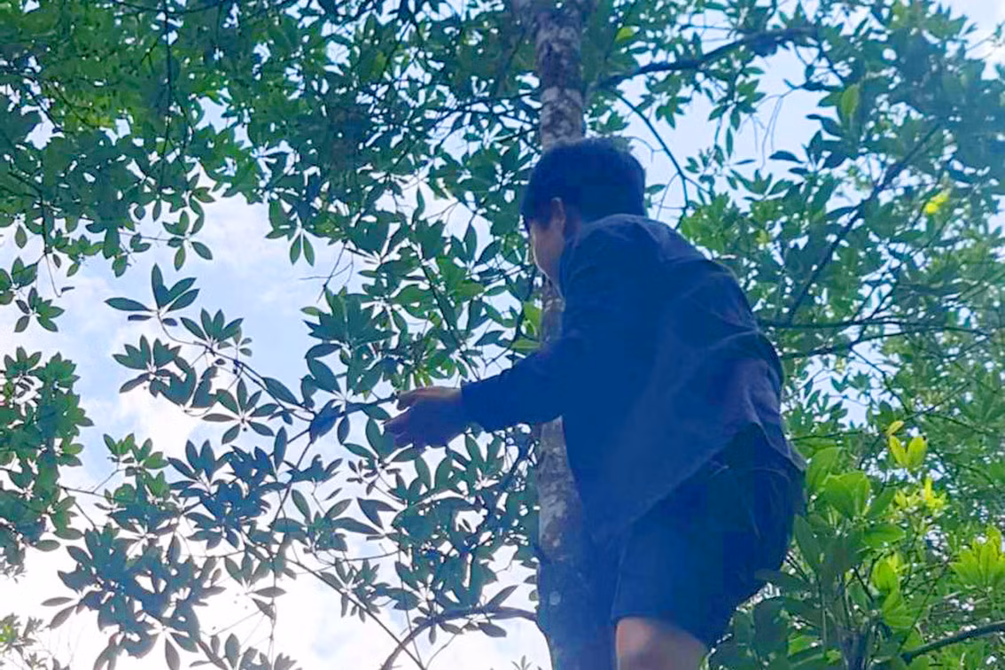 Trong loai cay ra hoa 2 lan, nong dan kiem tram trieu moi nam-Hinh-2