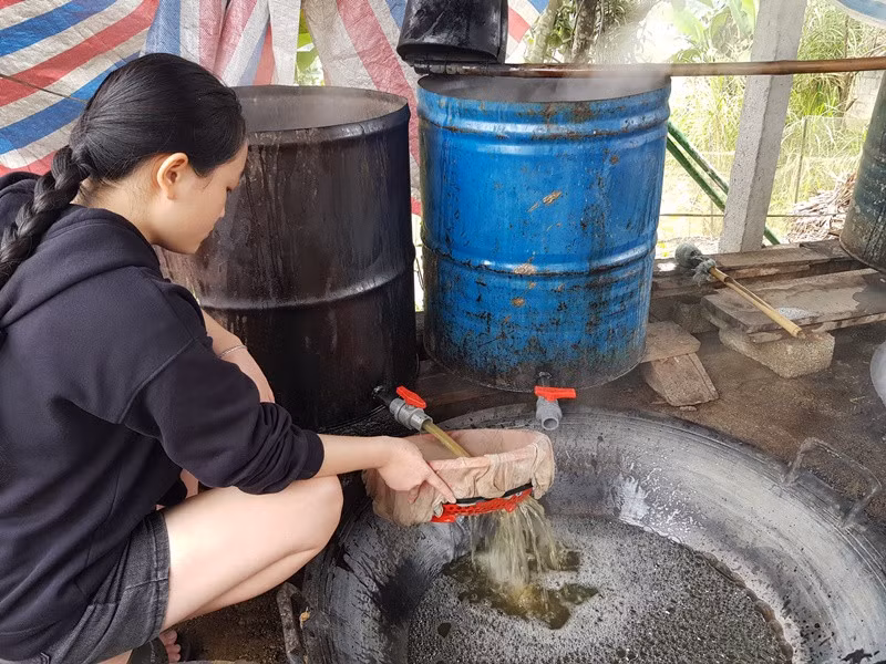 Thu phu mat mia do lua ngay dem phuc vu Tet Nguyen dan-Hinh-2
