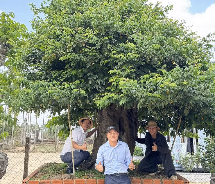 Khoi nghiep tu cay bonsai co thu, 9x Dak Lak doanh thu hang ty/nam-Hinh-4