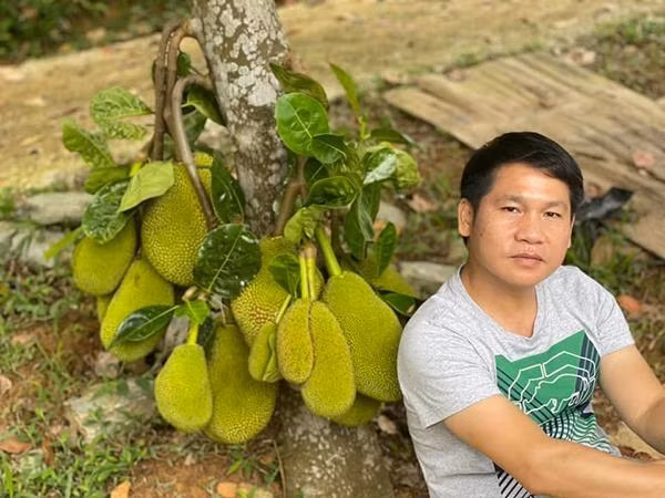 Từ năm thứ 2 ở Nhạc viện, ca sĩ Trọng Tấn đã bắt đầu đi hát. Ban đầu, anh biểu diễn ở các sân khấu nhỏ rồi đến với sân khấu Khúc hát trữ tình. Từ đó, anh bắt đầu được hát những bài hát chỉn chu, cả cổ điển lẫn Cách mạng. Nam ca sĩ chia sẻ, đây là "những năm tháng vui vô cùng" của anh. Sau khi tốt nghiệp, Trọng Tấn làm giảng viên tại khoa Thanh nhạc của trường và tiếp tục theo nghiệp ca sĩ. Đến năm 2013, anh quyết định nghỉ dạy để chuyên tâm vào công việc ca hát. Ngoài biểu diễn trên sân khấu, nam ca sĩ còn phát hành một số album như Một Chặng Đường, Rặng Trâm Bầu, Mong về Hà Nội, Tình Yêu Trên Dòng Sông Quan Họ...