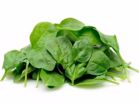 Ăn nhiều rau củ: Các loại rau xanh như rau chân vịt (cải bó xôi), cải xoăn, rau muống, mồng tơi… chứa nhiều vitamin, khoáng chất, chất xơ, sắt có tác dụng làm đẹp tóc hiệu quả. Bạn nên sử dụng các loại thực phẩm này dưới dạng salad trộn, kết hợp với những loại cá giàu axít béo omega 3 như cá hồi, cá ngừ, cá mòi…