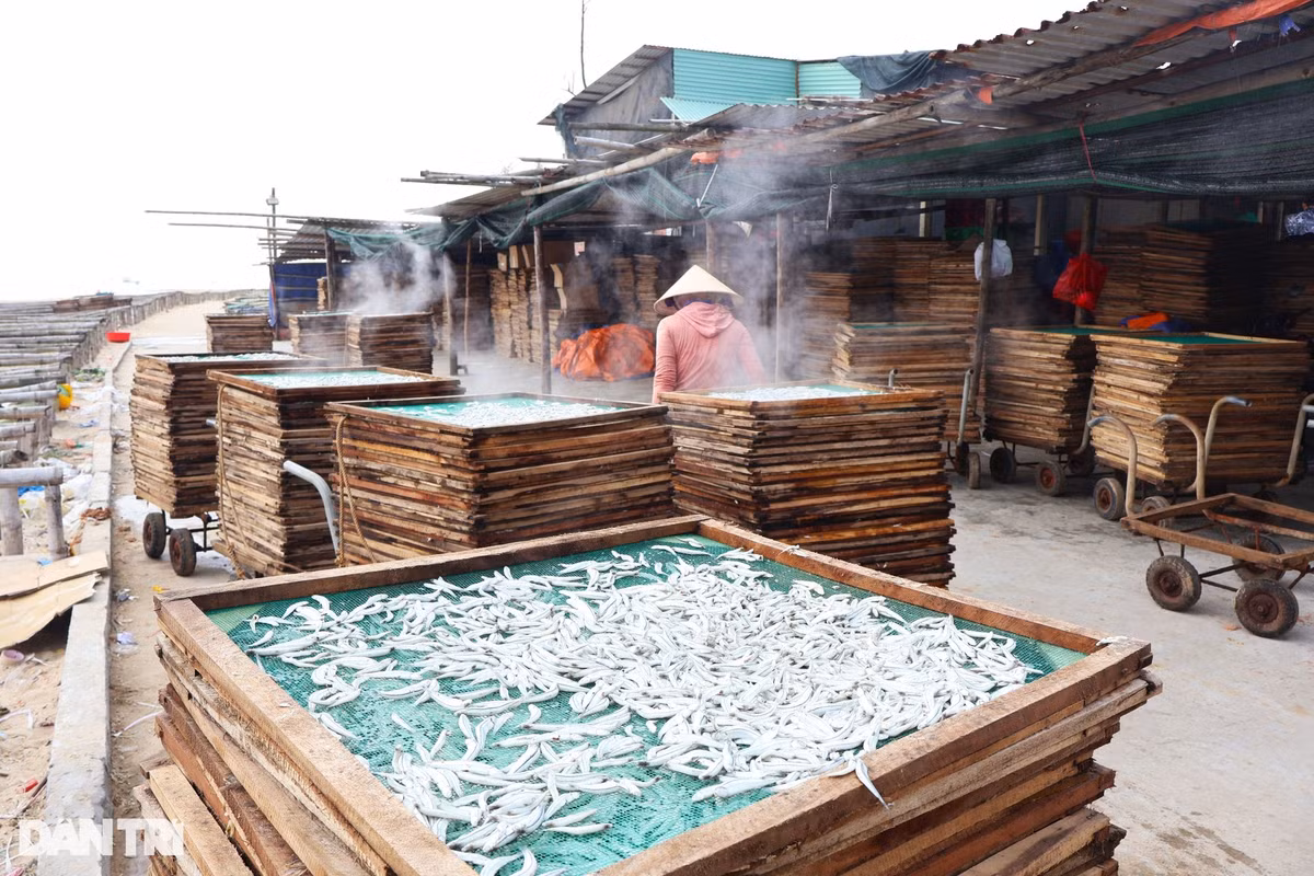 Cá cơm sau khi mua về sẽ được rửa sạch, việc rửa cá phải đảm bảo nhẹ nhàng để cá không bị dập nát. Sau đó, cá được để ráo rồi cho vào vỉ lưới mang đi hấp. Một mẻ hấp có 15 vỉ cá xếp chồng lên nhau, thời gian hấp 3-5 phút.
