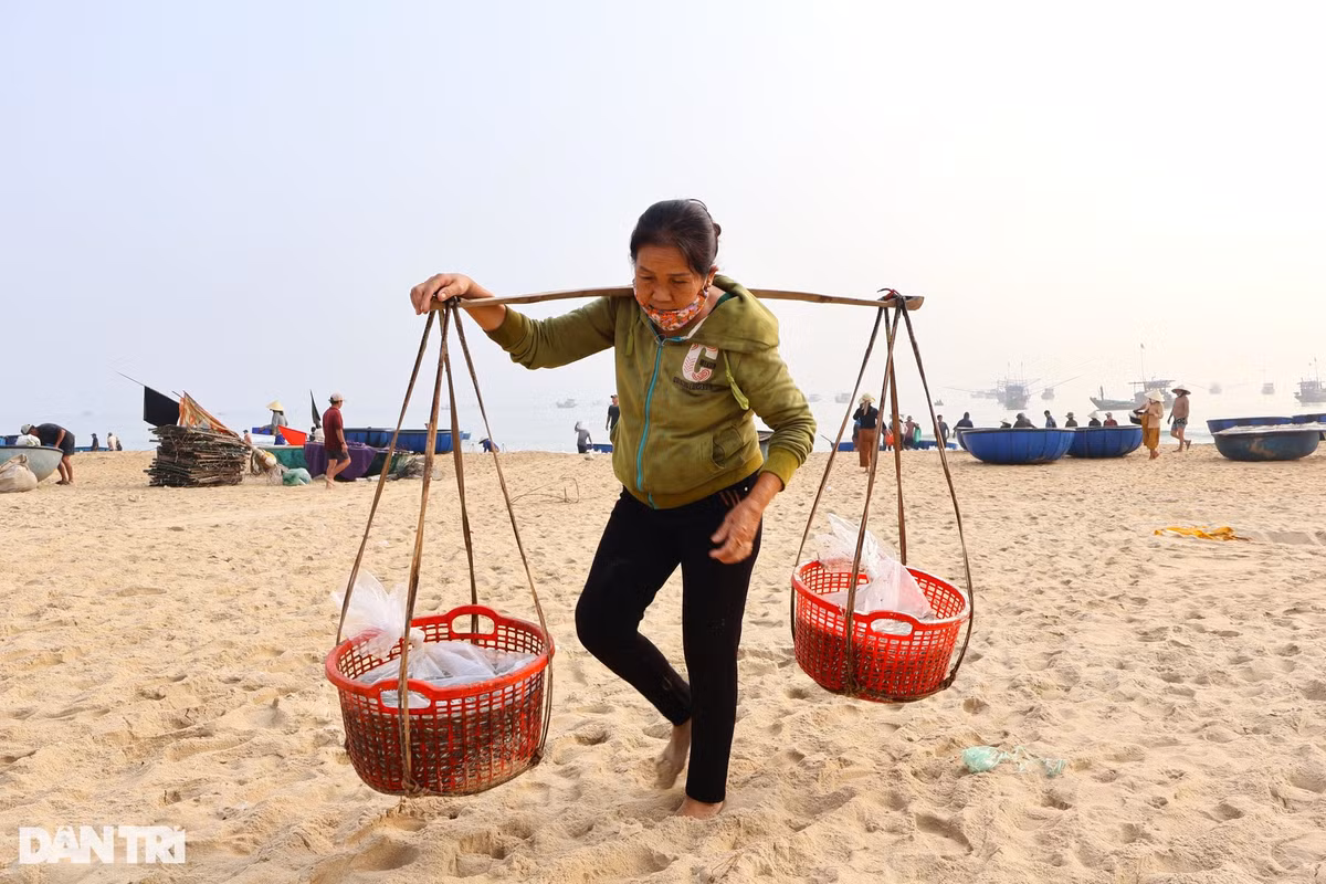 Mỗi ngày, có hàng chục tàu thuyền lớn nhỏ tấp nập cập bến. Những mẻ cá tươi rói được nhanh chóng đưa vào lò chế biến. Một gánh cá được trả công 7.000-10.000 đồng tùy trọng lượng (với khoảng cách 200m, từ bờ biển vào lò hấp), giúp phụ nữ làng biển có thêm thu nhập.