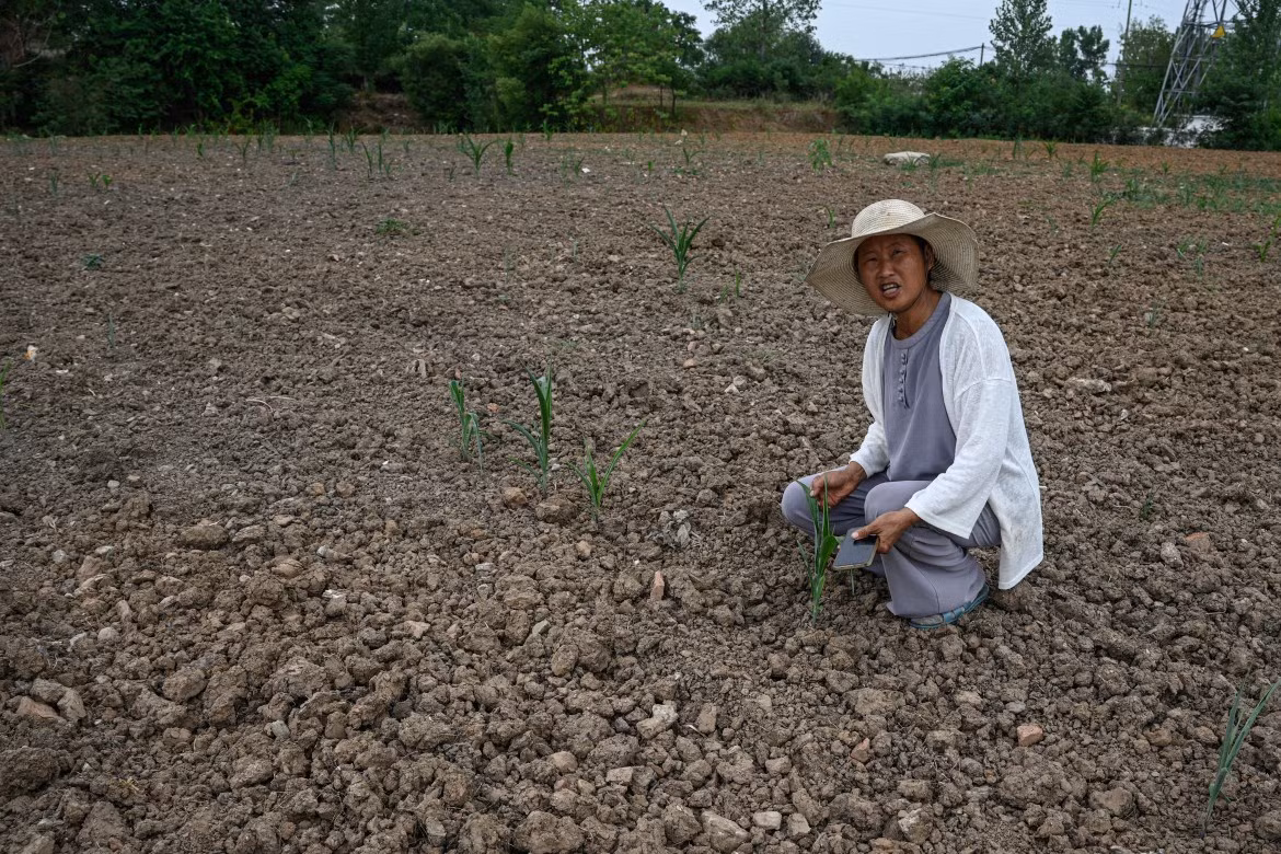 Trong khi đó, miền Bắc nước này quay cuồng vì hạn hán và nhiệt độ cao.