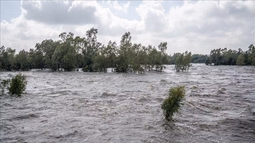 Lũ lụt nghiêm trọng ở Thụy Sĩ, nhiều người mất tích - Hình 3 Lu lut nghiem trong o Thuy Si, nhieu nguoi mat tich-Hinh-3