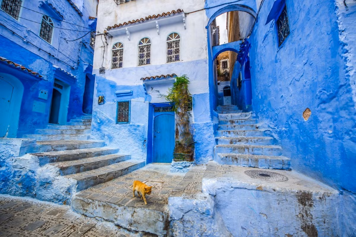 Những con phố lắt léo như mê cung chìm ngập trong màu xanh kỳ ảo khiến Chefchaouen giống như một thế giới siêu thực. Ảnh: Much Better Adventures.