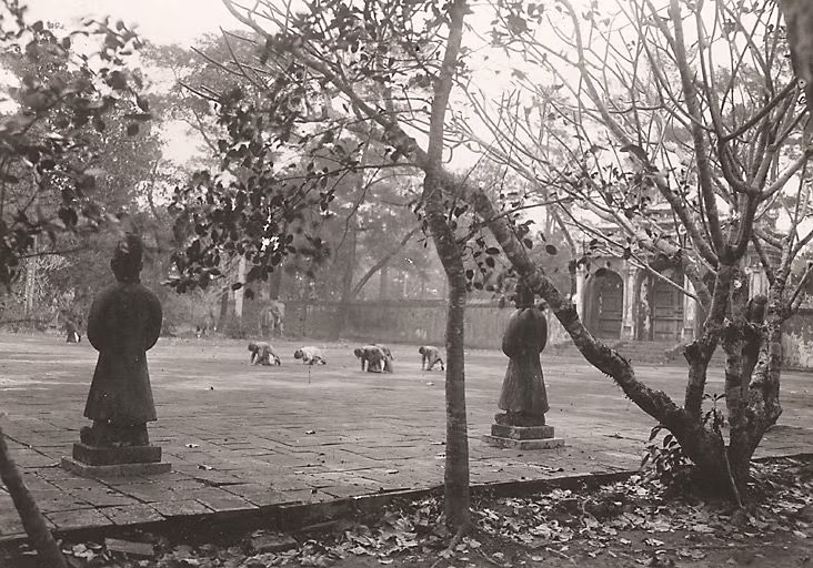 Trên sân chầu ở lăng vua Minh Mạng. Ảnh: Manhhai / Flickr.