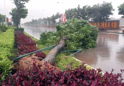Dù có suy yếu so với nhận định ban đầu và không đổ bộ vào bờ lúc mạnh nhất, nhưng bão Haiyan vẫn là cơn bão rất mạnh.