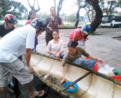 Những nghề tức thời ăn theo lũ cũng xuất hiện nhiều nơi ở miền Trung như giữ xe qua đêm, rán bánh, rớ cá, săn chuột, bắt chim… Trong ảnh là một thuyền cá trong nội thành Huế bán những con cá vừa rớ được cho khách đi đường ngày nước lên cao. Ảnh: Báo Thừa Thiên Huế.