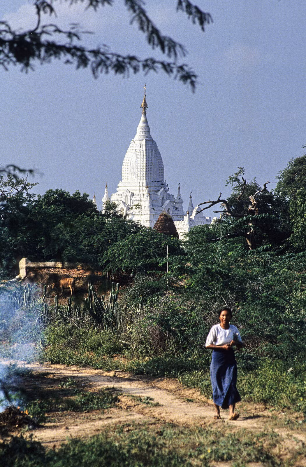 Trên con đường gần một ngôi đền ở Bagan.