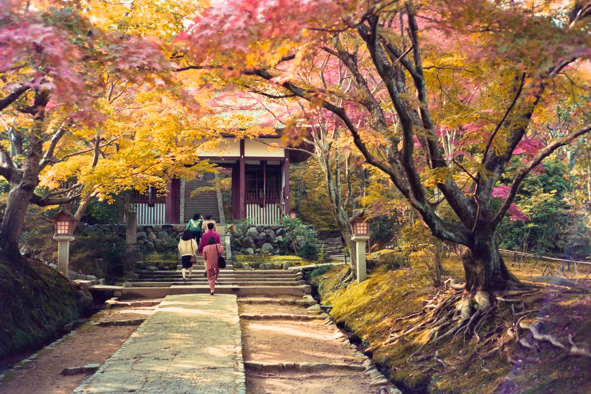 Con đường trong chùa Jojakko-ji (Thường Tịch Quang Tự), 19/11/1990. Ngôi chùa này nằm giữa rừng, nổi tiếng với cảnh lá phong đổi màu vào mùa thu.