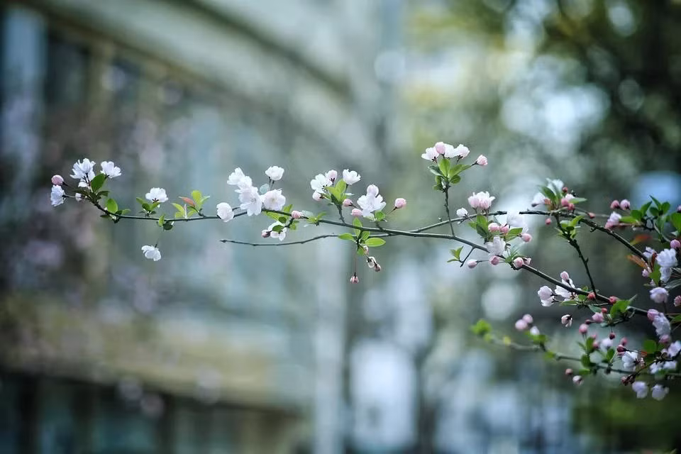 Tháng sinh Âm lịch của người có duyên với quý nhân, nửa đời sau giàu sụ Thang sinh Am lich cua nguoi co duyen voi quy nhan, nua doi sau giau su