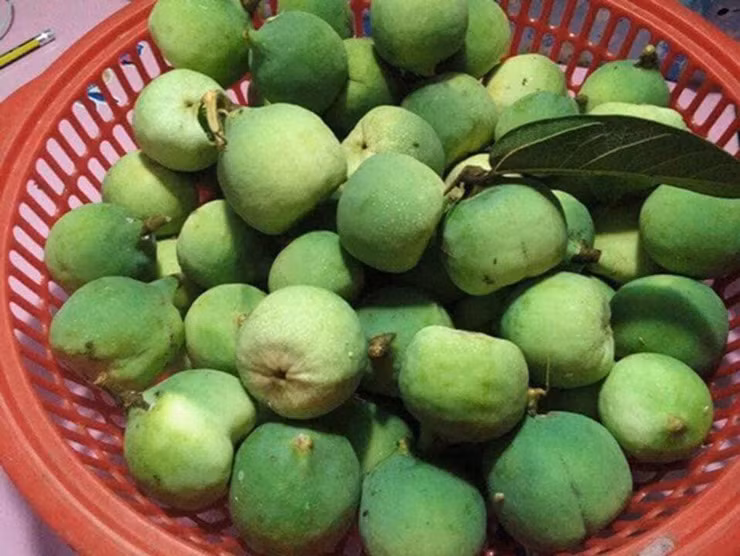 Xua moc dai khong ai hai, nay dan hai ban 400.000/kg thanh dac san noi tieng-Hinh-2