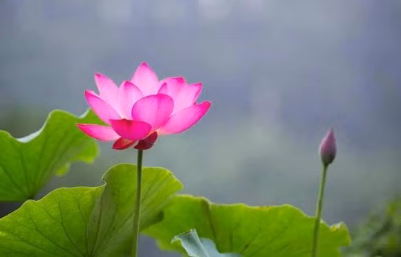 Nhung nguoi co ngay sinh am lich nay la nguoi dang ghen ti nhat-Hinh-3