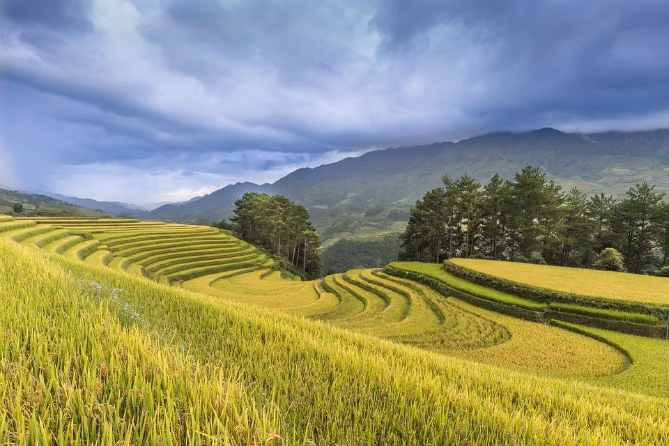 Thoi tiet cang mat me, van khi cua 4 con giap nay cang khoi sac-Hinh-3