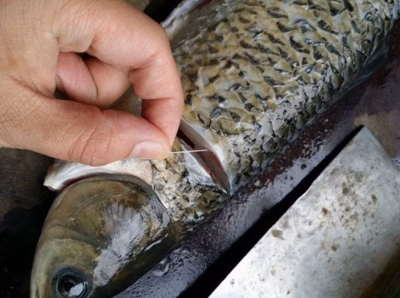 Khử mùi tanh của cá chỉ cần thêm 1 động tác này khi sơ chế - Hình 2 Khu mui tanh cua ca chi can them 1 dong tac nay khi so che-Hinh-2