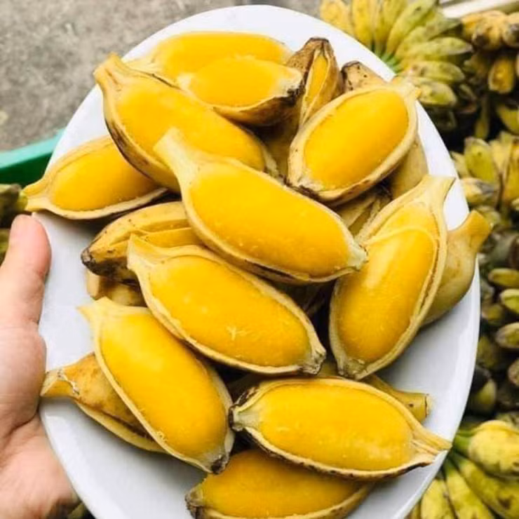 Chuối sáp không ăn sống trực tiếp như những loại chuối khác mà phải luộc, nướng, hoặc chế biến thành các món chè
