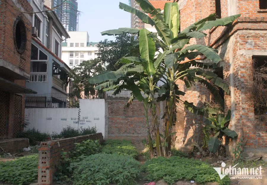 Hàng loạt biệt thự, nhà phố bỏ hoang vẫn hét giá "trên trời" - Hình 2 Hang loat biet thu, nha pho bo hoang van het gia