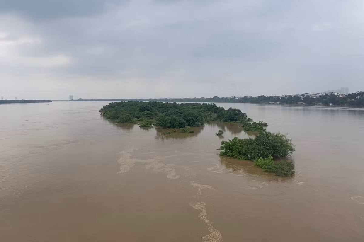 Ốc đảo giữa sông Hồng chìm trong nước.