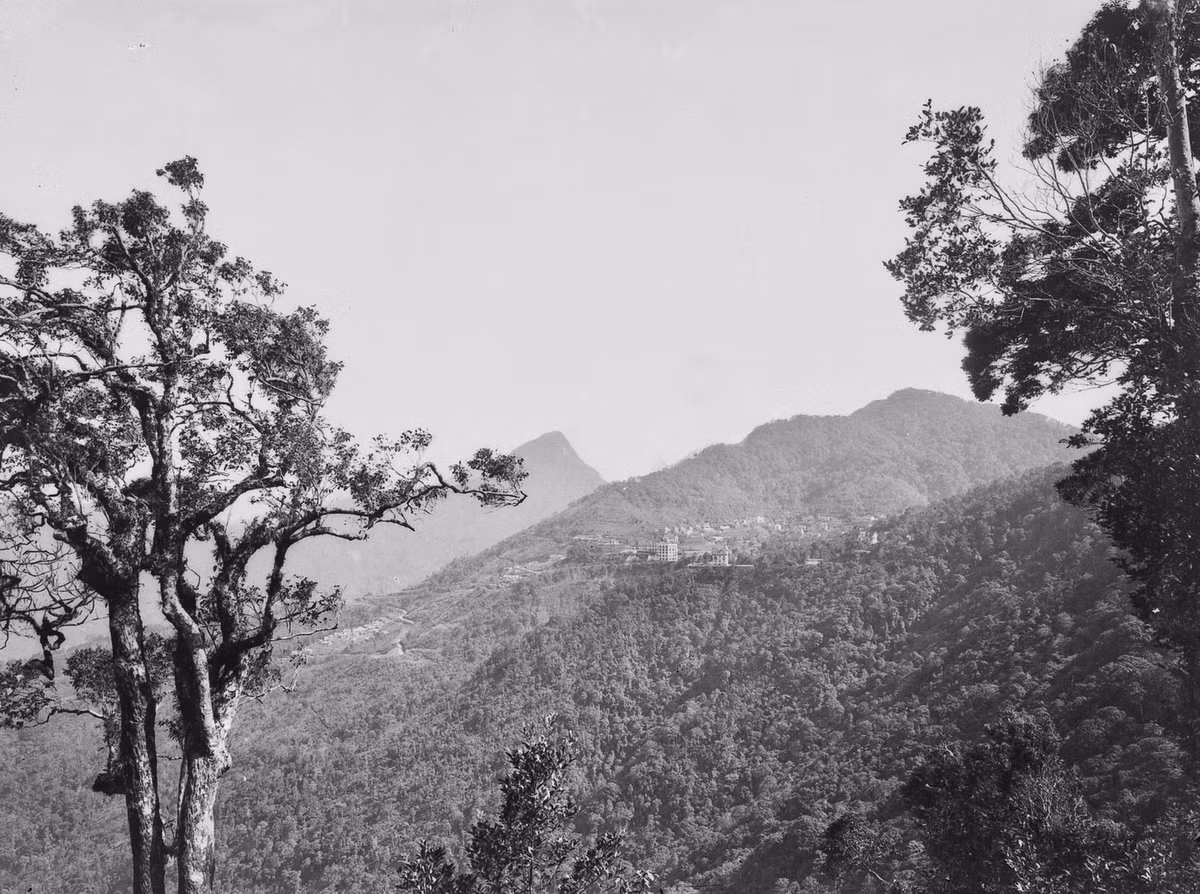 Khu nghỉ mát Tam Đảo nhìn từ xa.