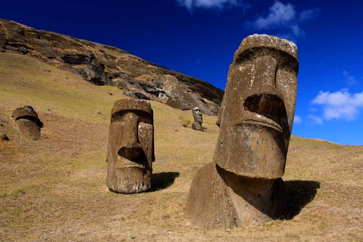 Các nhà nghiên cứu đánh giá, tượng Moai đòi hỏi chi phí chế tạo rất lớn, không chỉ bởi việc khắc mỗi bức tượng đều đòi hỏi chi phí nhân công và công cụ, vật tư, mà còn nằm ở việc di chuyển và dựng đứng nó lên ở vị trí đã được chọn lựa. Ảnh: History Today.