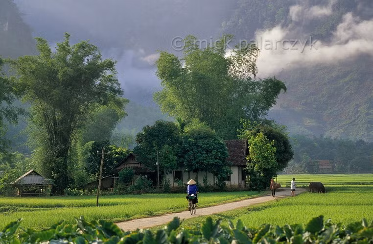 Bức tranh đồng quê bình yên ở Bản Lác, Mai Châu, Hòa Bình.