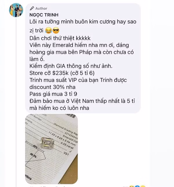 Ngoc Trinh bi nghi ban nhan 4 ty kem chat luong chi la 'cu no' dan dung-Hinh-5