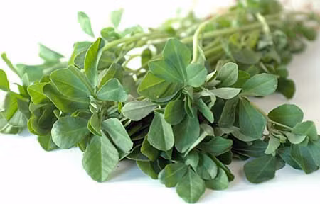 Cỏ cà ri. Cách trị sẹo lồi tự nhiên này sẽ giúp bạn xóa mờ được sẹo bằng cách dùng 1 muỗng cà phê cò cà ri và luộc hạt cỏ trong 1 lít nước trong vài phút. Tiếp theo của cách trị sẹo lồi đơn giản này là lấy nước cỏ cà ri đó rửa vùng bị sẹo. Đây là biện pháp lý tưởng cho cách trị sẹo lồi hiệu quả nhất hình thành do mụn.
