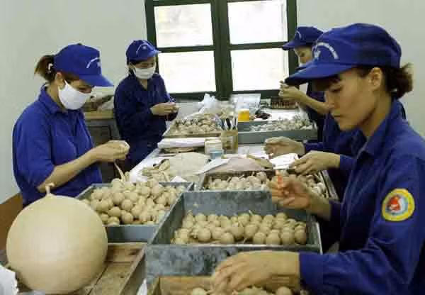 4 nhà máy sản xuất có nhiệm vụ khác nhau, hầu hết hoạt động trên dây chuyền tự động hóa, chỉ trừ nhà máy sản xuất pháo hoa. Do đặc thù riêng nên đa số các công đoạn đều làm thủ công. Ảnh: Nhabaonu