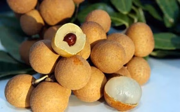 10 loai rau cu duoc vi nhu 'than duoc', tranh xa benh tat-Hinh-3