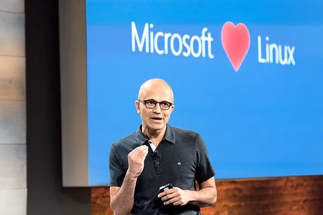 Người hùng của Microsoft là con người đầy tham vọng. Nhưng phụ thuộc của Microsoft trên công nghệ độc quyền đã chặn những bước đi dài của công ty. CEO hiện tại, Satya Nadella, đã hướng công ty đến việc mở cửa các công nghệ để phục vụ cho khách hàng và các nhà phát triển.