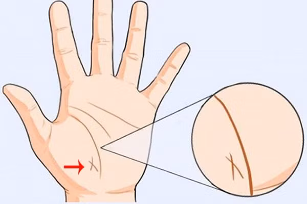 8 nét tướng của trẻ báo hiệu tương lai xán lạn - Hình 2 8 net tuong cua tre bao hieu tuong lai xan lan-Hinh-2