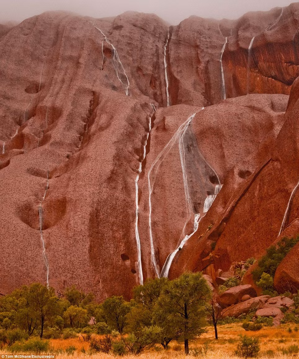 Núi đá Uluru nằm ở trung tâm vườn quốc gia Uluru-Kata Tjuta.