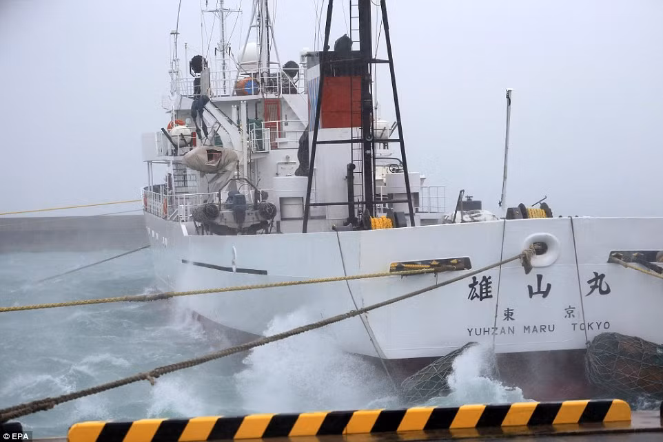 Tàu đánh cá Yuhzan Maru bị sóng đánh tại bến cảnh ở thành phố Itoman.