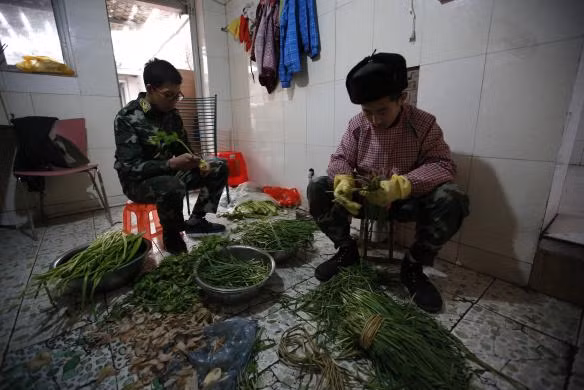 Học viên phải tự chuẩn bị bữa ăn cho mình. Đây là quy định bắt buộc của chương trình cai nghiện internet tại trung tâm Qide. Các học viên cũng ăn tập thể như trong quân đội.