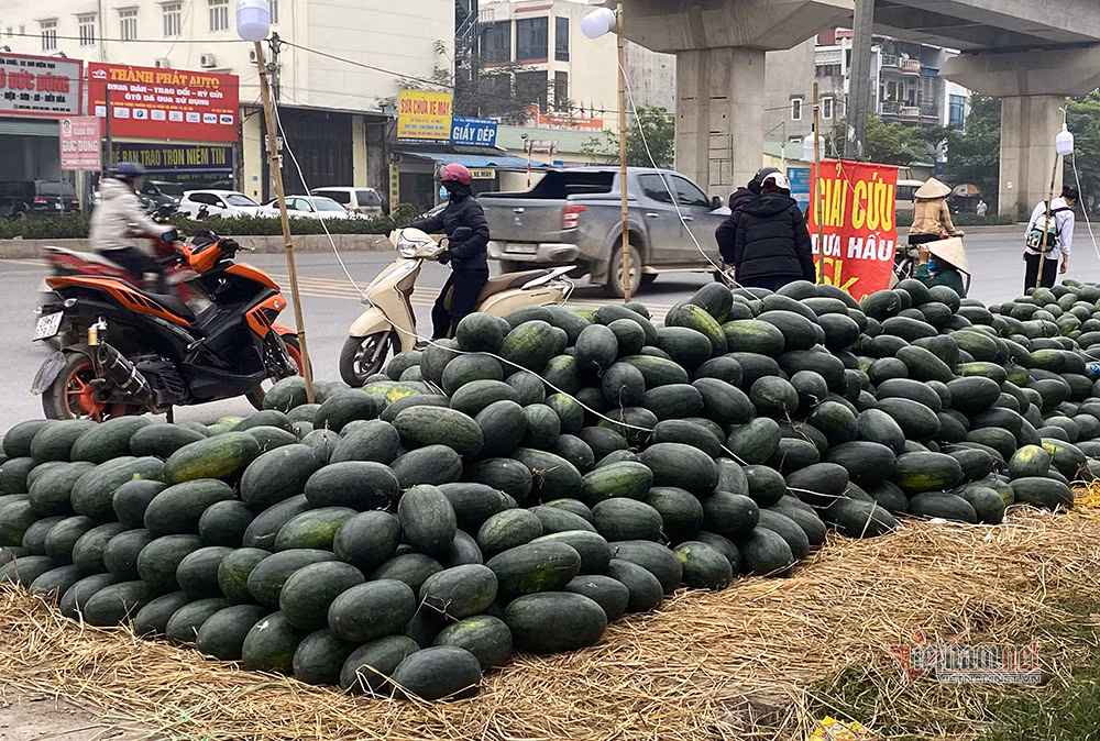 Ha Noi trien mien giai cuu: Nhung dong dua hau khap via he-Hinh-2