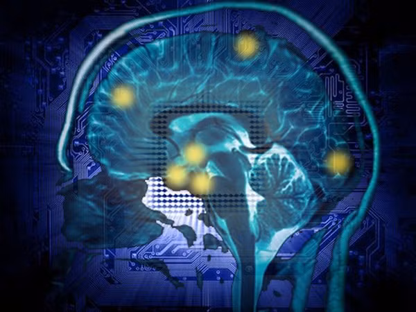  7. Người dùng sử dụng điện từ não để lướt web Bằng việc áp dụng công nghệ nano để chế tạo các con chip nhỏ gọn, tiêu thụ ít năng lượng, các chuyên gia hi vọng sẽ có thể tạo ra hệ thống máy tính hoạt động hiệu quả mà siêu "nhỏ". Những nhà nghiên cứu của Intel cũng dự đoán rằng, trước năm 2020, bạn sẽ không cần bàn phím hay chuột để điều khiển máy tính nữa. Thay vào đó, người dùng sẽ sử dụng tín hiệu điện từ của não để mở tài liệu hay lướt web. 8. Các tòa nhà biết xoay Dubai đang xây dựng một tòa nhà với những ứng dụng cực kỳ đẹp mắt và thiết thực. Tòa nhà sẽ có 59 tầng có thể xoay một cách độc lập để những người sống ở đây có thể liên tục được đổi vị trí ngắm cảnh bên ngoài. Các tầng sẽ xoay khoảng 6m/phút và sẽ không ai nhận ra được sự di chuyển này.