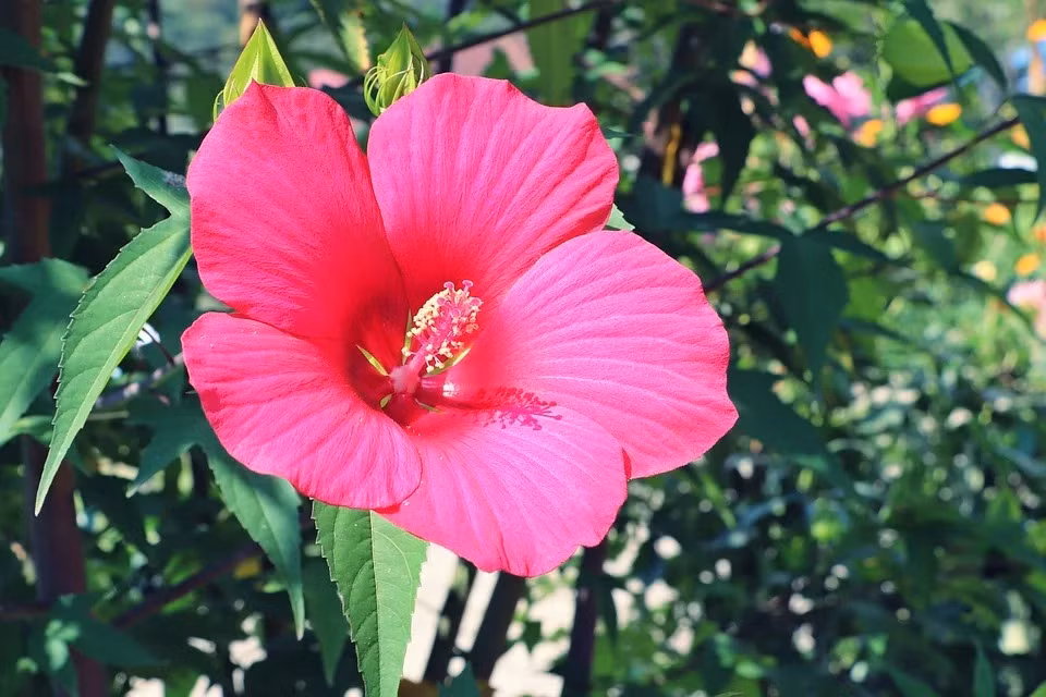 Ai sinh tháng Âm lịch này cuộc sống vất vả, con cái thành danh, về già hưởng phúc Ai sinh thang Am lich nay cuoc song vat va, con cai thanh danh, ve gia huong phuc