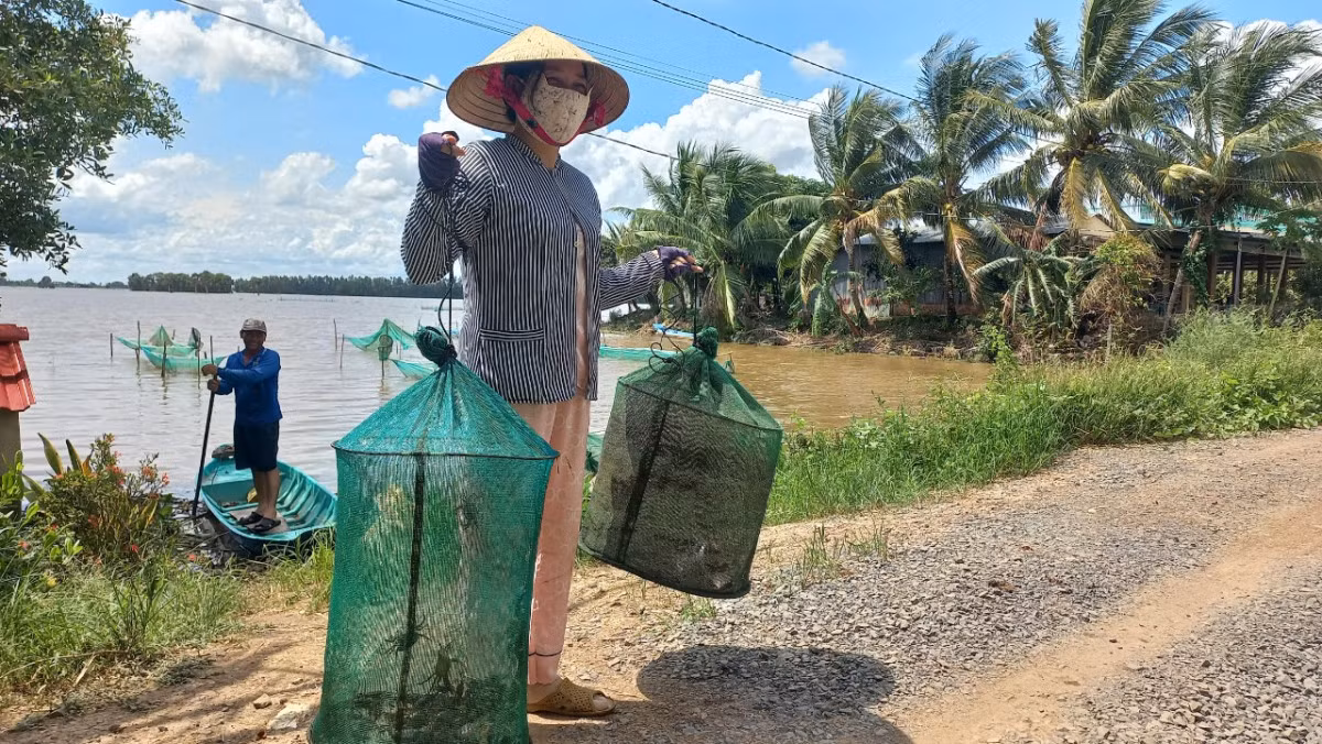 Nuoc lu ve nhieu, dan vung Dong Thap Muoi tap nap ra dong bat con gi? YAHOO 15-Hinh-2