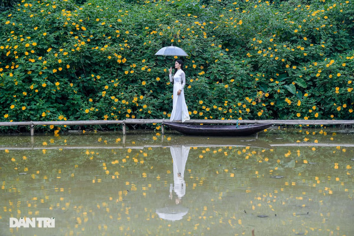 Thời điểm này, vườn dã quỳ thu hút nhiều người đến ngắm và chụp ảnh. Du khách đến đây thường chọn cách chụp ảnh ngồi hoặc đứng trên cầu để bức ảnh vừa có hoa, vừa có cảnh sông nước.