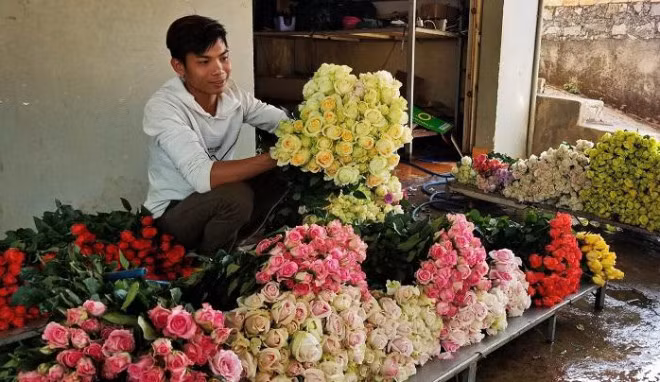 Hoa Đà Lạt tăng giá mạnh trước lễ 20/10 Hoa Da Lat tang gia manh truoc le 20/10
