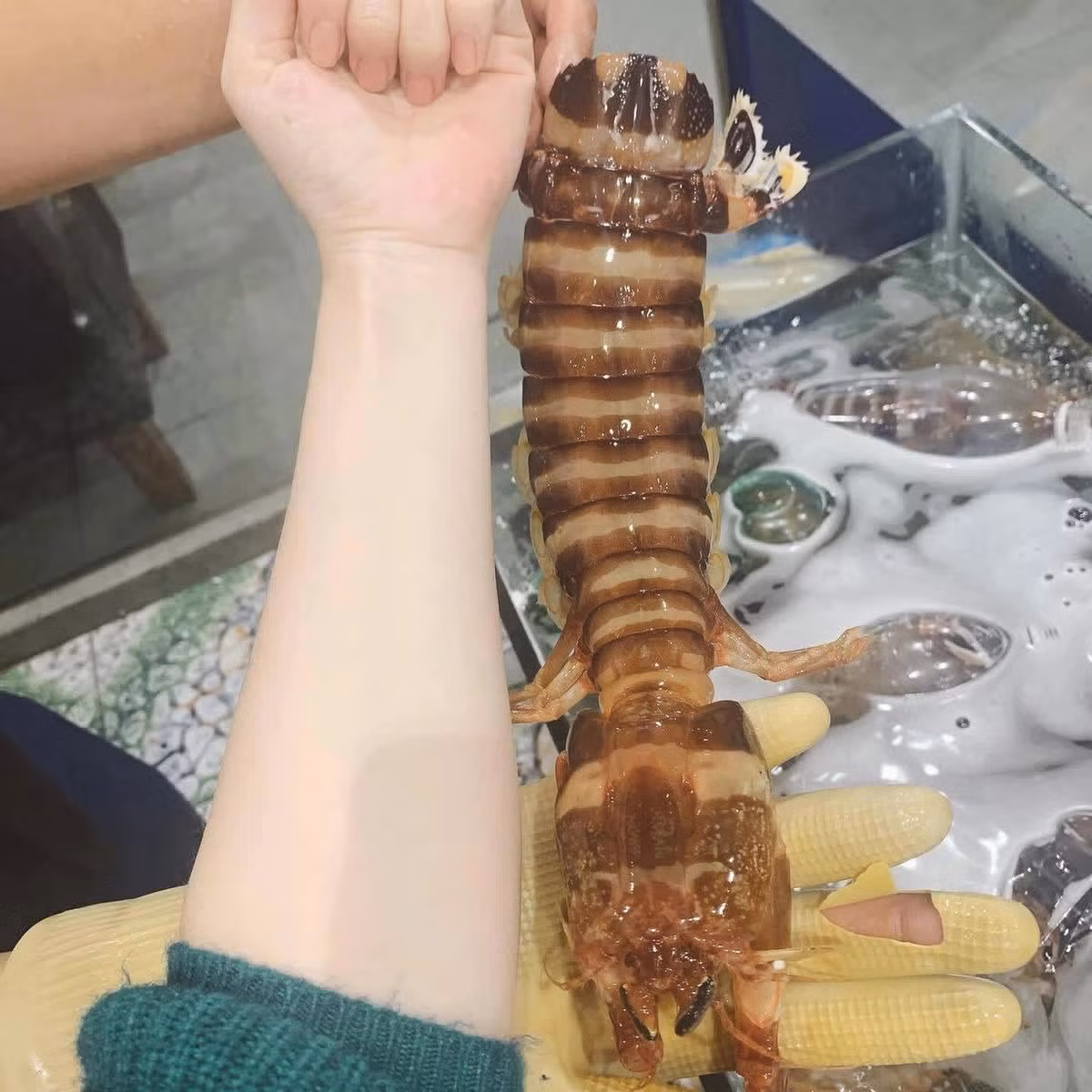 Be be chua khong lo, ca la keu eng ec gia cao van dat khach