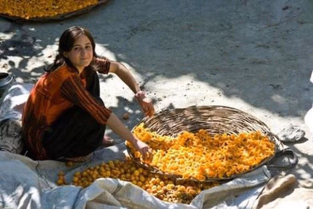 Người Hunzas bắt đầu một ngày rất sớm, khoảng 5h, giúp họ tăng thời gian tiếp xúc ánh nắng Mặt Trời. Họ đi ngủ vào lúc chập tối. Một lối sống hoàn toàn hài hòa với thiên nhiên do họ không sử dụng điện, dầu.