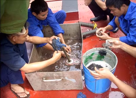 Rửa phin lọc bằng phương pháp thủ công.